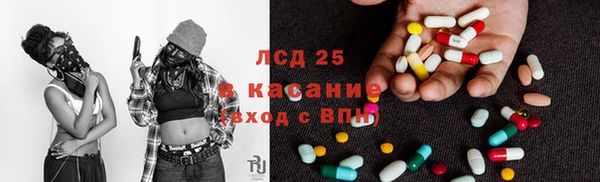 эйфоретик Аркадак