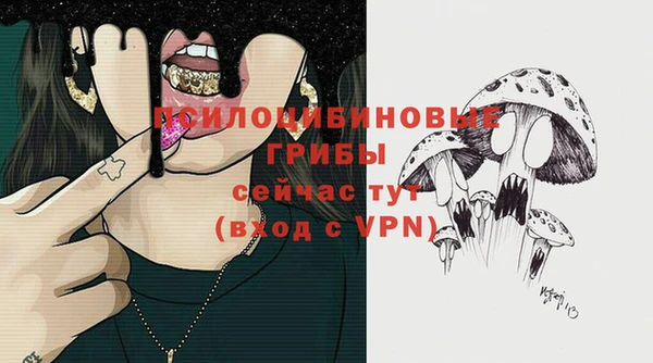 mdpv Арсеньев