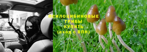 эйфоретик Аркадак